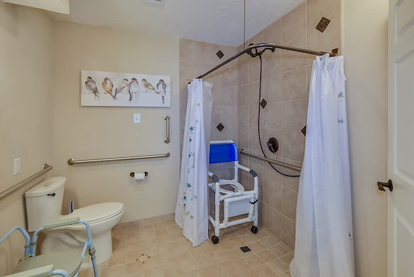 Image of Village Care Homes - Silver Leaf (7)