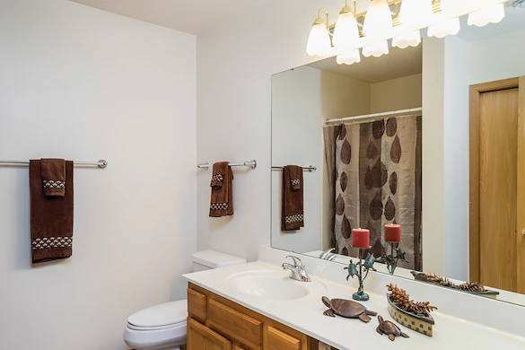 Park Vista Retirement Living – Waupaca, WI, bathrrom