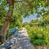 Image of Sakura Gardens of Los Angeles (3)