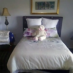 Image of The Oaks of Alamance (4)