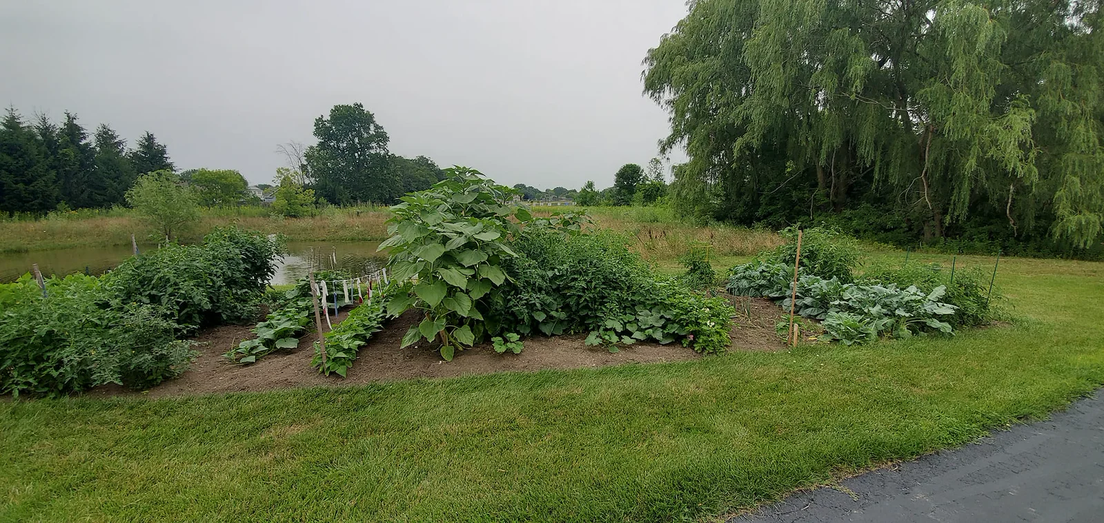 Image of Parkview Gardens Independent Living (4)