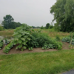 Image of Parkview Gardens Independent Living (4)
