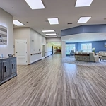 Image of The Shoal (1)