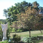 Image of Assisted Living of Durand (2)
