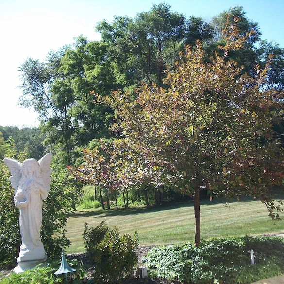 Image of Assisted Living of Durand (2)
