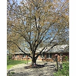 Image of Evansville Protestant Home (4)