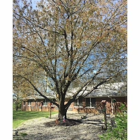 Image of Evansville Protestant Home (4)