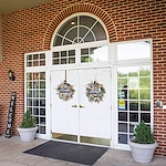 Image of Viva at Stafford (1)