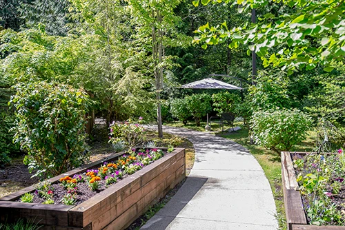 Image of Village Concepts of Issaquah – Spiritwood at Pine Lake (5)