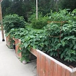 Image of Norwalk Nursing And Rehabilitation Center (5)