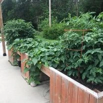 Image of Norwalk Nursing And Rehabilitation Center (5)