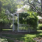 Image of Orchard Park (6)