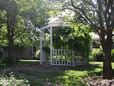 Image of Orchard Park (6)