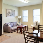 Image of Silver Birch of Hammond (9)