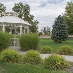 Image of Ashley Manor - Middleton (2)