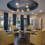 Image of The Shores of Clear Lake (4)