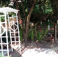Image of Lomita Kiwanis Gardens (5)