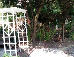 Image of Lomita Kiwanis Gardens (5)