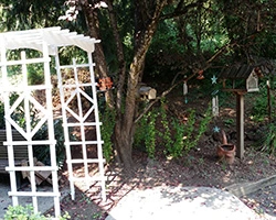 Image of Lomita Kiwanis Gardens (5)