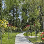 Image of The Californian (3)