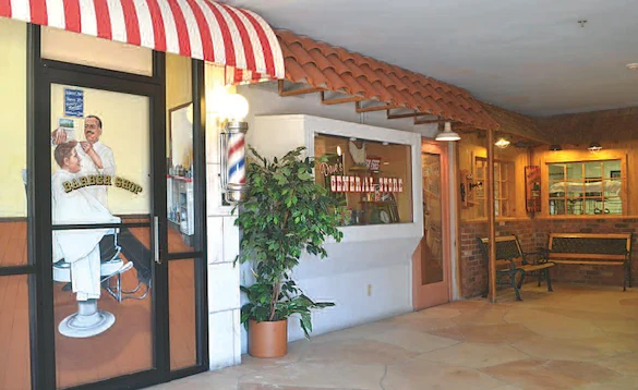 Image of Mimosa Springs (5)