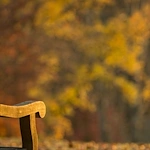 Image of Wood Hawk Senior Apartments (4)