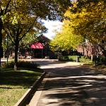 Image of Elite Lodge of Ashworth (3)