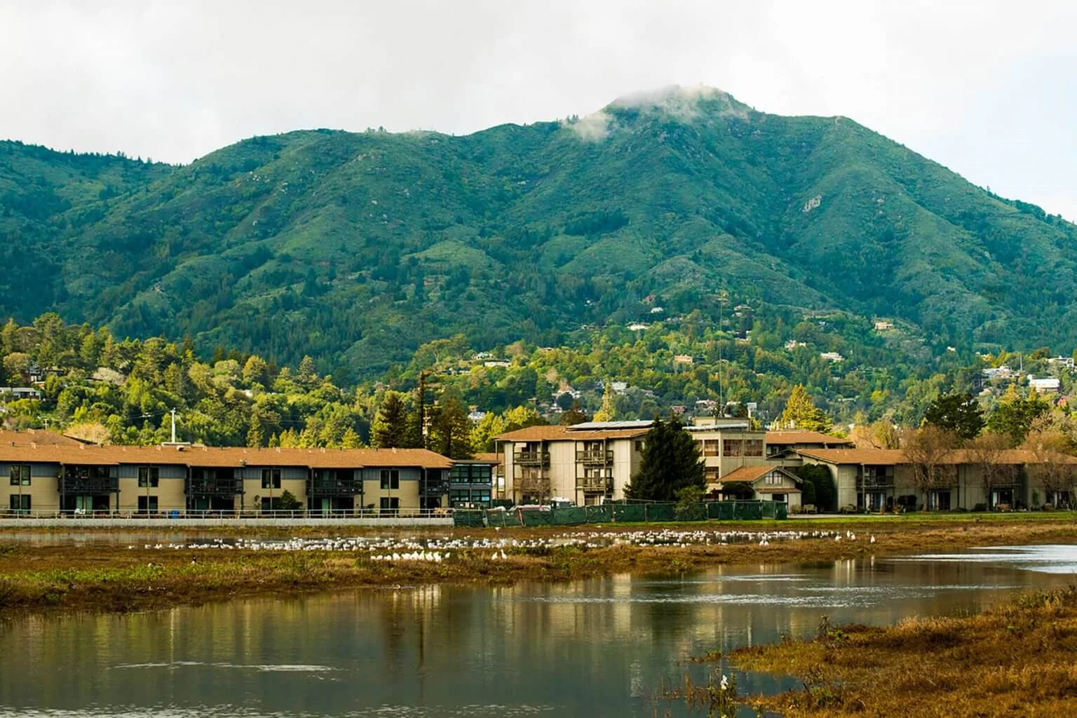 Image of The Redwoods, A Community Of Seniors (2)