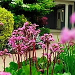 Image of Quail Crest Memory Care (9)