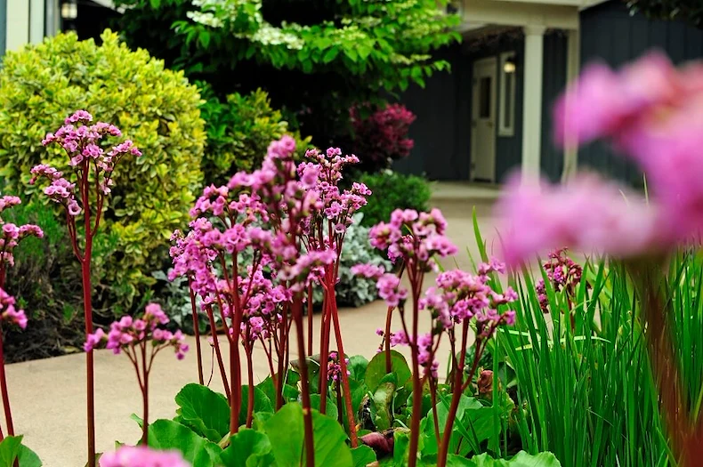 Image of Quail Crest Memory Care (9)