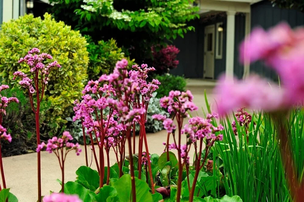 Image of Quail Crest Memory Care (9)