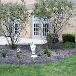 Image of Ahepa 156 Senior Apartments (3)