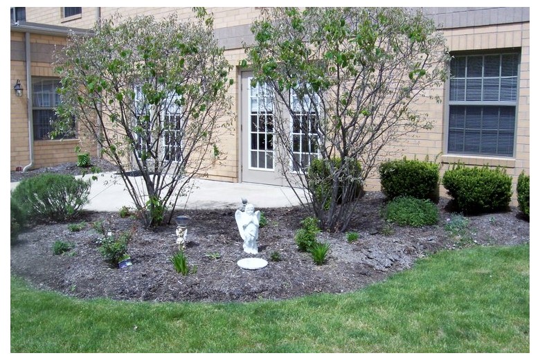 Image of Ahepa 156 Senior Apartments (3)