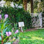 Image of Sodalis Merritt Island (8)