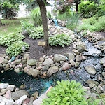 Image of The Village of Holly Woodlands (10)