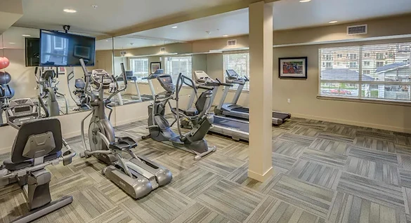 Image of Affinity at Olympia (6)