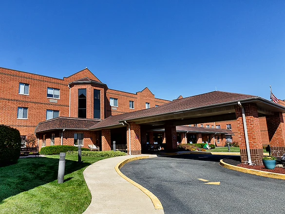 Image of Holiday Walnut Woods (1)