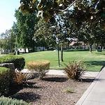 Image of Inglewood Gardens (3)