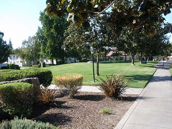 Image of Inglewood Gardens (3)