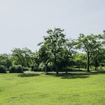 Image of Harvard Gardens Rehabiliation and Care Center (8)