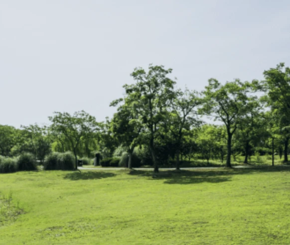 Image of Harvard Gardens Rehabiliation and Care Center (8)