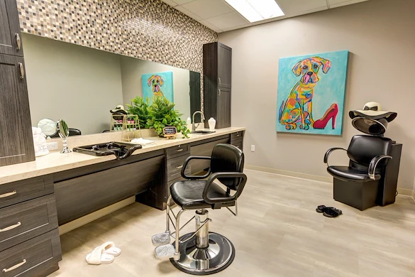 Image of The Vineyard at Fountaingrove (3)