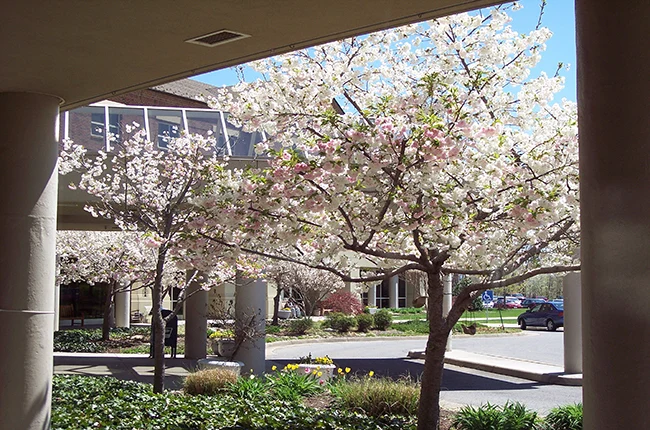 Image of Davis And Mcdaniel Veterans Care Center (2)