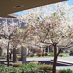 Image of Virginia Veterans Care Center (2)