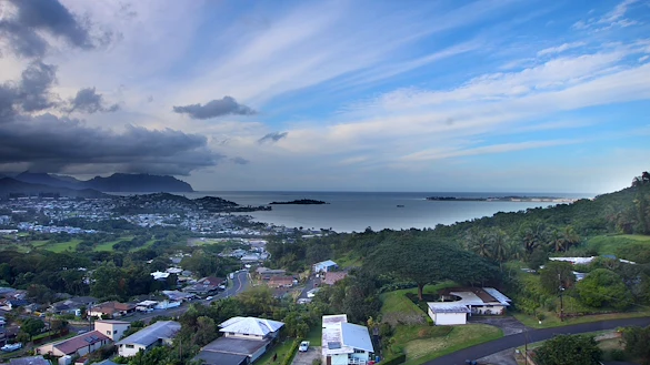 Image of Good Samaritan - Pohai Nani (3)