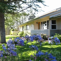 Image of Atterdag Village (2)