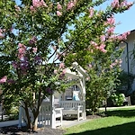 Image of Hilltop Assisted Living at Williamsport (5)