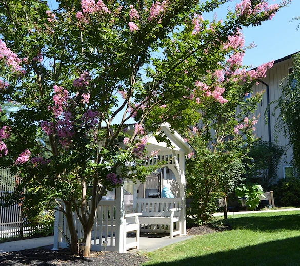 Image of Hilltop Assisted Living at Williamsport (5)