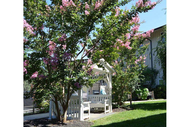 Image of Hilltop Assisted Living at Williamsport (5)