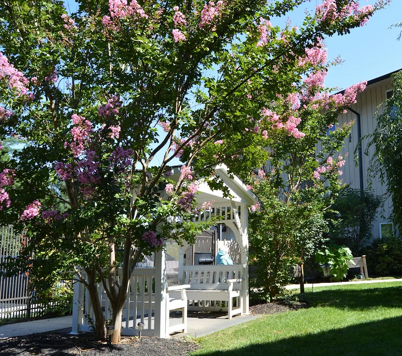 Image of Hilltop Assisted Living at Williamsport (5)